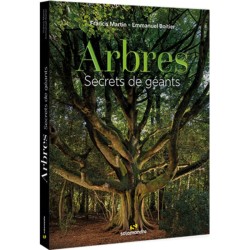 Arbres - Secrets de géants