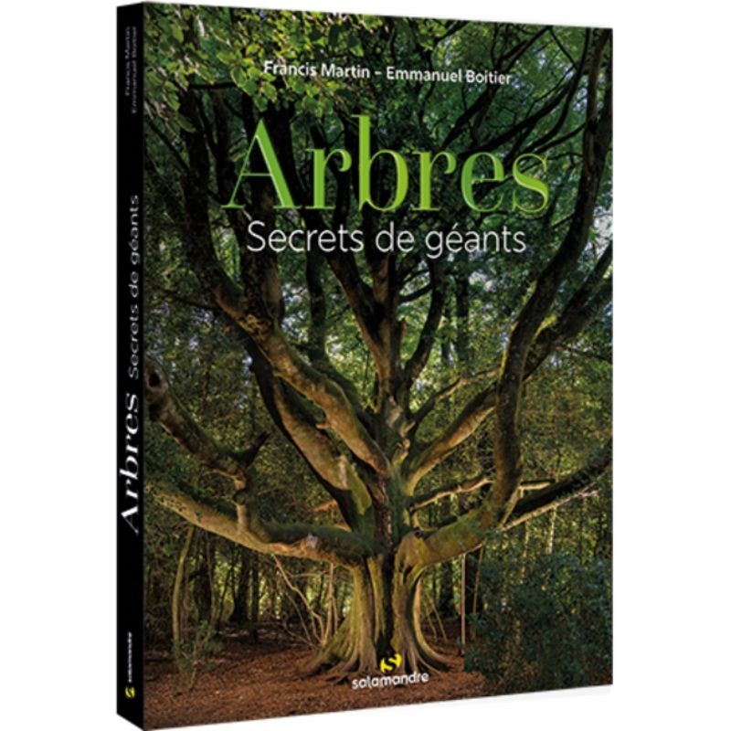 Arbres - Secrets de géants Arbres - Secrets de géants