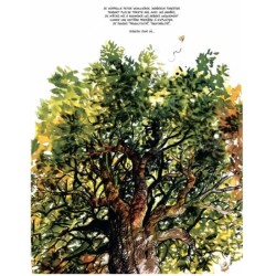 La vie secrète des arbres