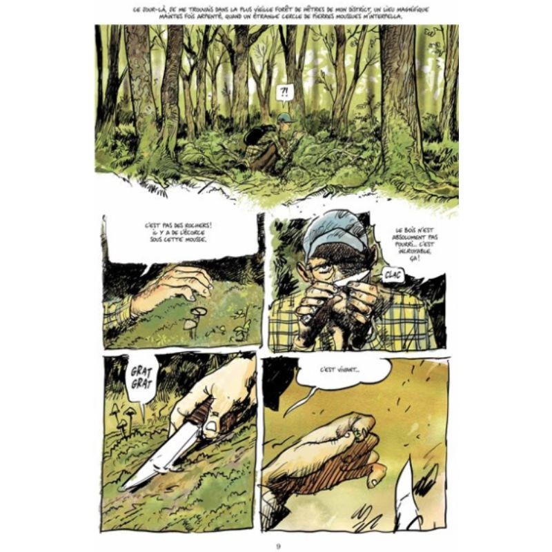 La vie secrète des arbres