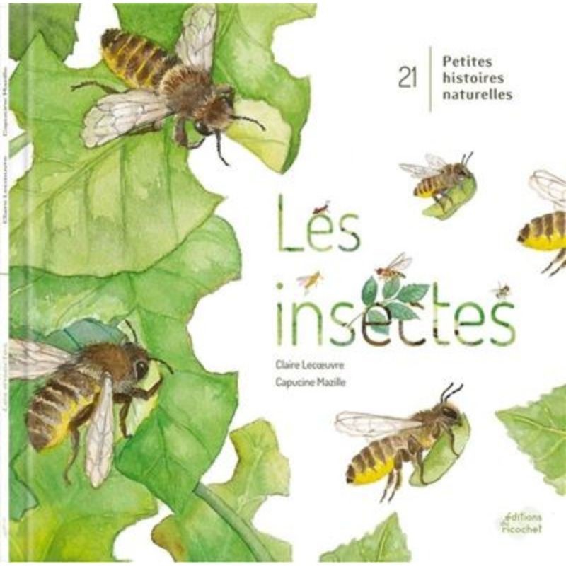 Les Insectes ! Les Insectes !