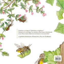 Les Insectes ! Les Insectes !