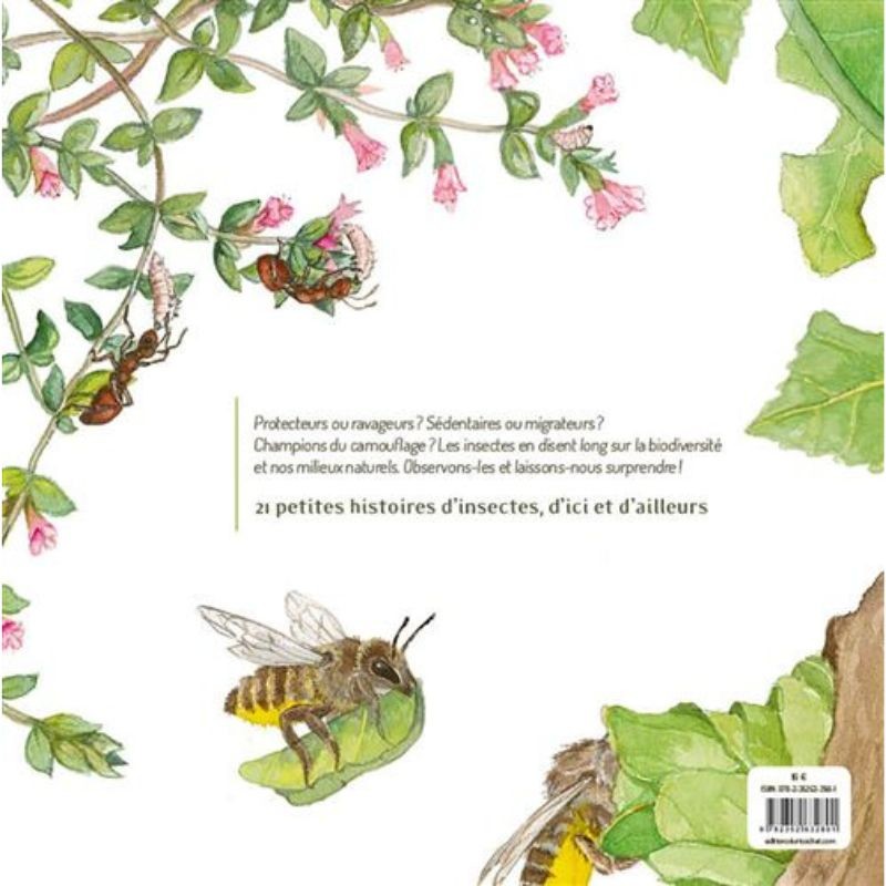 Les Insectes ! Les Insectes !