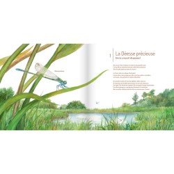 Les Insectes ! Les Insectes !