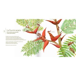 Les Insectes ! Les Insectes !