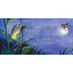 Les Insectes ! Les Insectes !