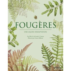 Fougères - Une leçon d'adaptation Fougères - Une leçon d'adaptation