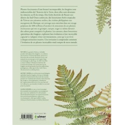 Fougères - Une leçon d'adaptation Fougères - Une leçon d'adaptation