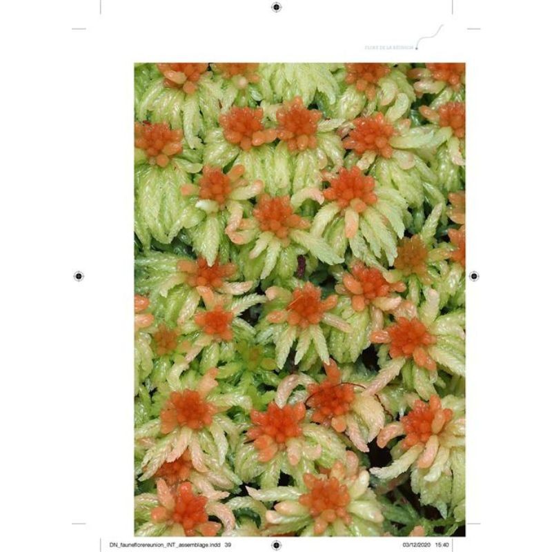 Faune et flore de La Réunion