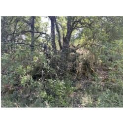 Filet de camouflage 2 PLY 3,5 x 1,5 mètres