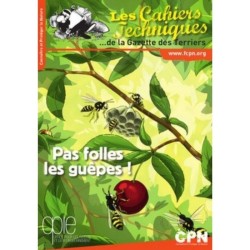 Pas folles les guêpes !