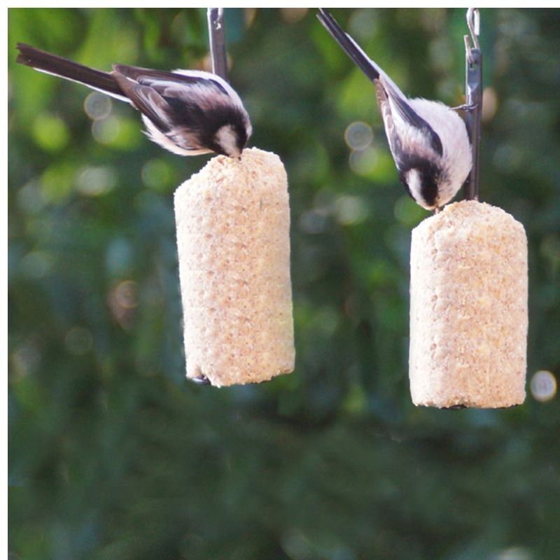 Cylindre de graisse végétale "Prêt à l'emploi" aux Vers de Farine