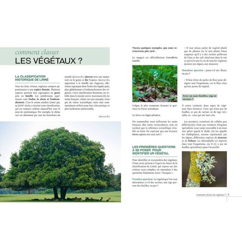 Guide d'initiation à la botanique