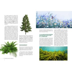 Guide d'initiation à la botanique