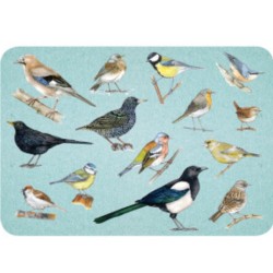 Kiquimank ? Oiseaux - Un oiseau s'est caché, à vous de le retrouver ! Kiquimank ? Oiseaux - Un oiseau s'est caché, à vous de le retrouver !