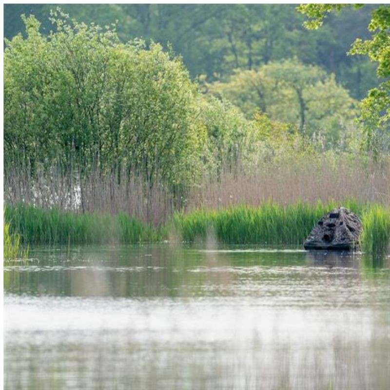 Affût flottant BuTente-Affût flottant Buteo Photo Gear Grebe IIteo Photo Gear Grebe II