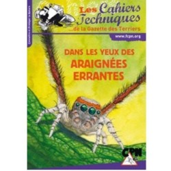 Dans les yeux des araignées errantes