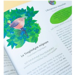 Écoute les oiseaux - avec l'application Birdie memory