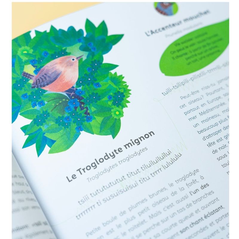 Écoute les oiseaux - avec l'application Birdie memory