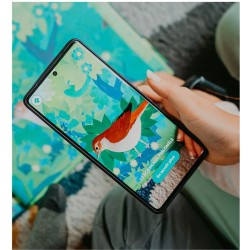 Écoute les oiseaux - avec l'application Birdie memory