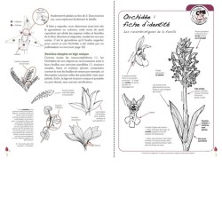 À la découverte des Orchidées sauvages - Explorer, observer, s'émerveiller, reconnaître, préserver