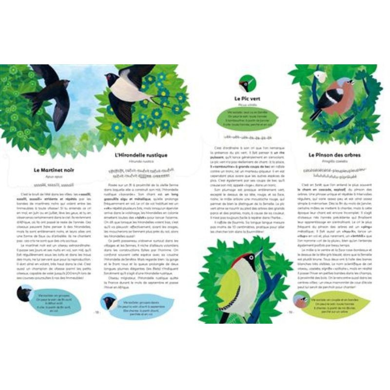 Écoute les oiseaux - avec l'application Birdie memory