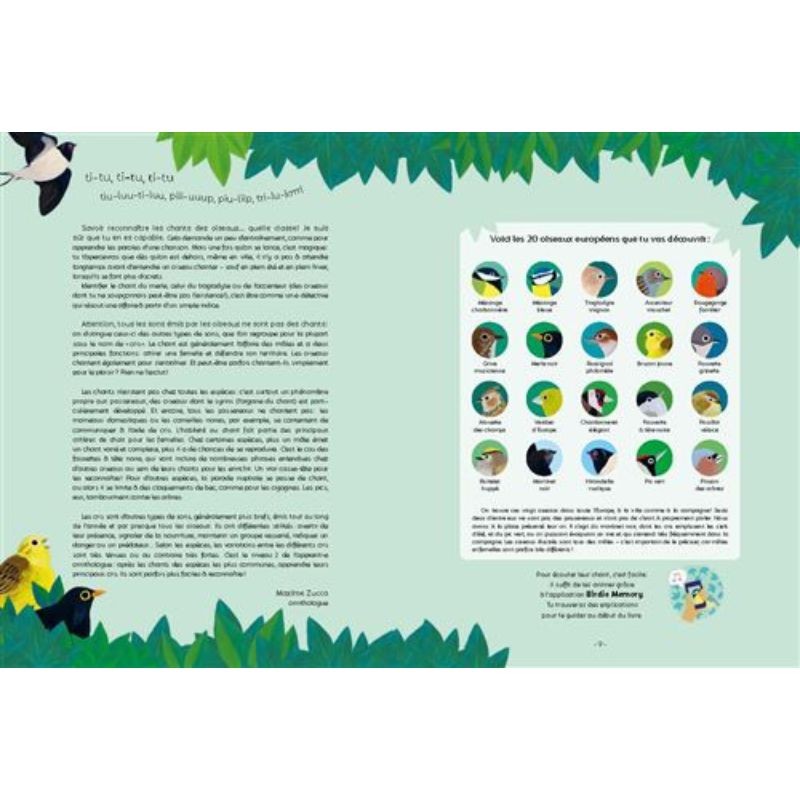Écoute les oiseaux - avec l'application Birdie memory