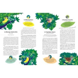 Écoute les oiseaux - avec l'application Birdie memory