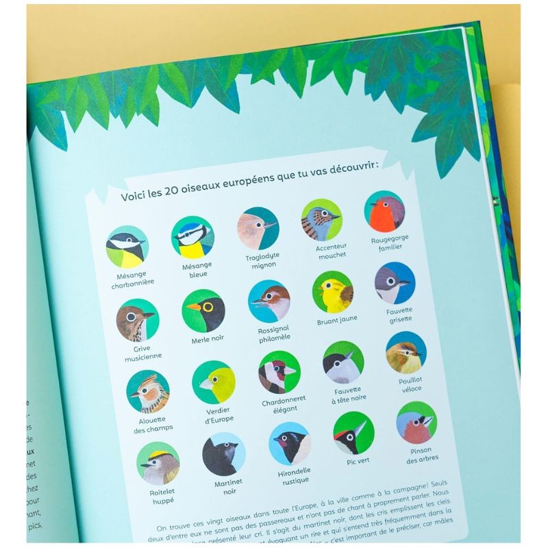 Écoute les oiseaux - avec l'application Birdie memory