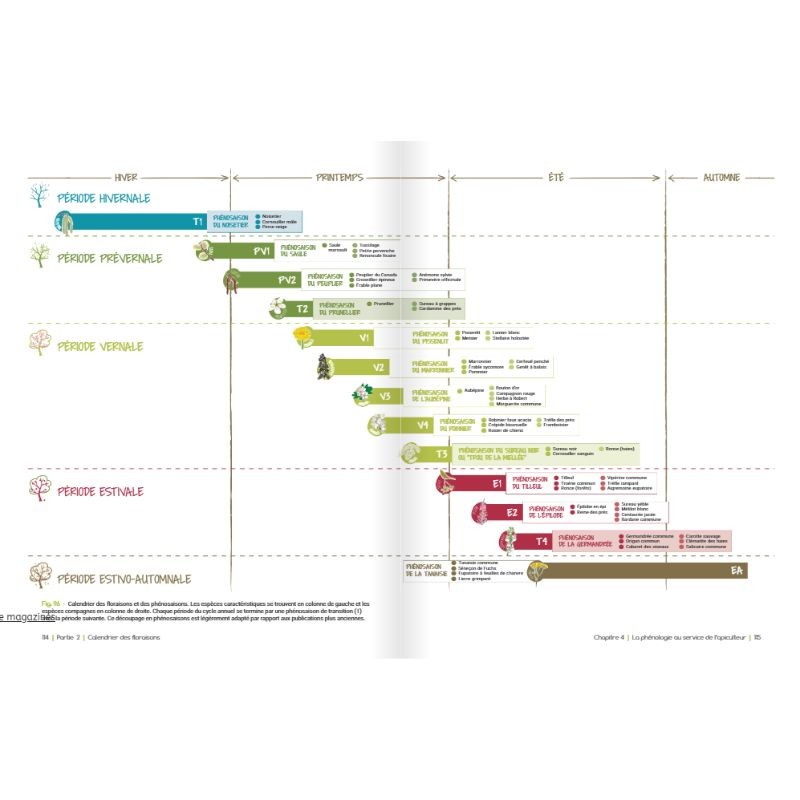 De la fleur au miel - Au cœur de la fleur, complice de l’abeille et de l’apiculteur