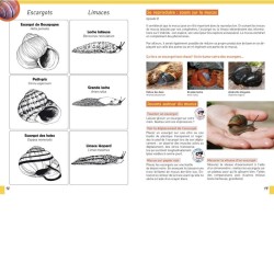 Sur la trace des escargots et des limaces - Rencontre avec les gastéropodes terrestres Sur la trace des escargots et des limaces - Rencontre avec les gastéropodes terrestres