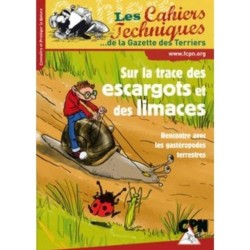 Sur la trace des escargots et des limaces - Rencontre avec les gastéropodes terrestres