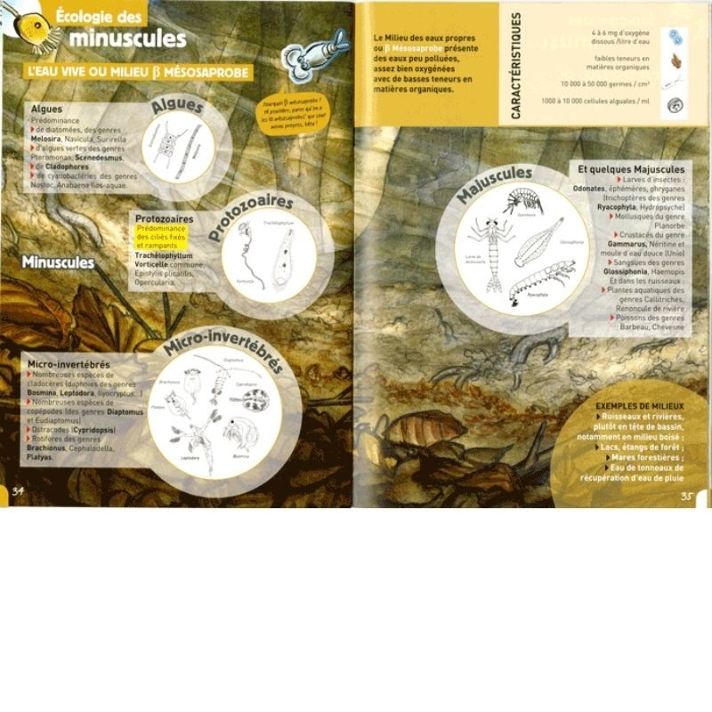 Au Pays des Minuscules - Le Guide pratique des micro invertébrés des eaux douces