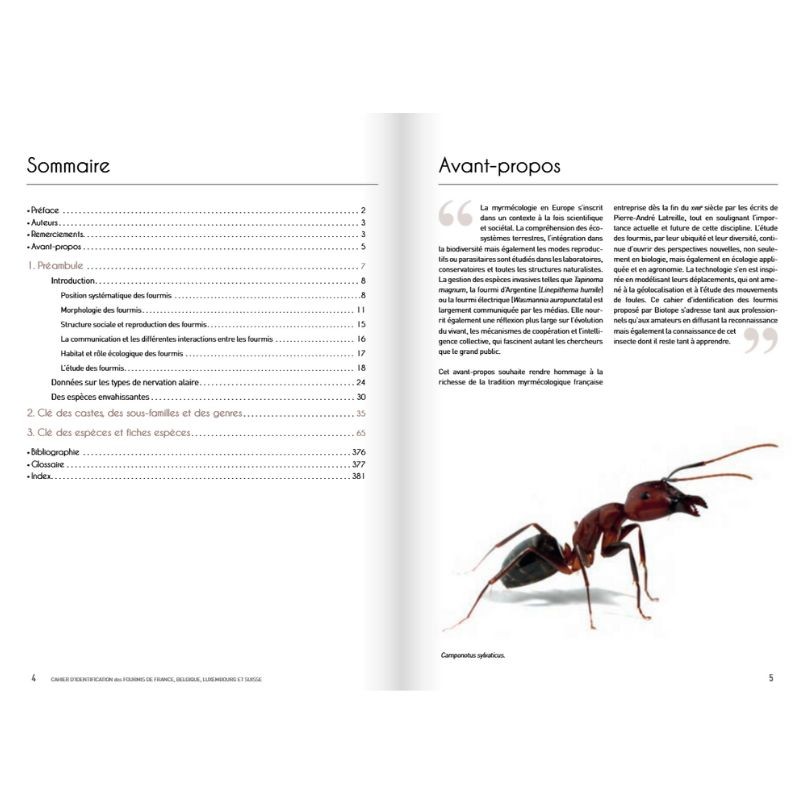 Cahier d'identification des fourmis de France, Belgique, Luxembourg et Suisse