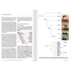 Cahier d'identification des fourmis de France, Belgique, Luxembourg et Suisse