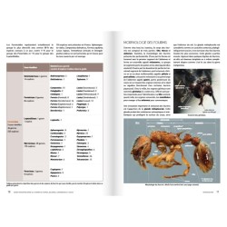 Cahier d'identification des fourmis de France, Belgique, Luxembourg et Suisse