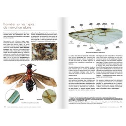 Cahier d'identification des fourmis de France, Belgique, Luxembourg et Suisse
