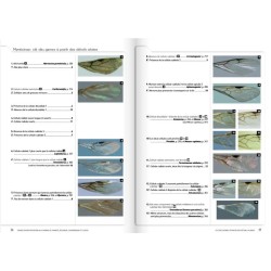 Cahier d'identification des fourmis de France, Belgique, Luxembourg et Suisse