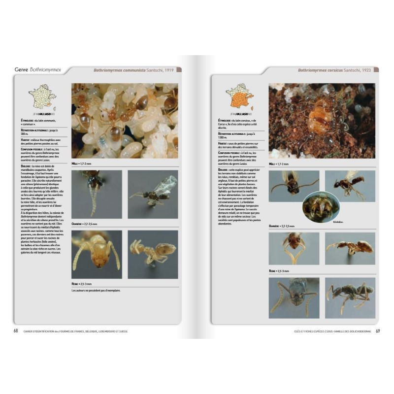 Cahier d'identification des fourmis de France, Belgique, Luxembourg et Suisse