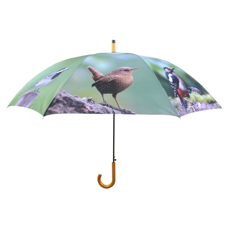 Parapluie Oiseaux du jardin