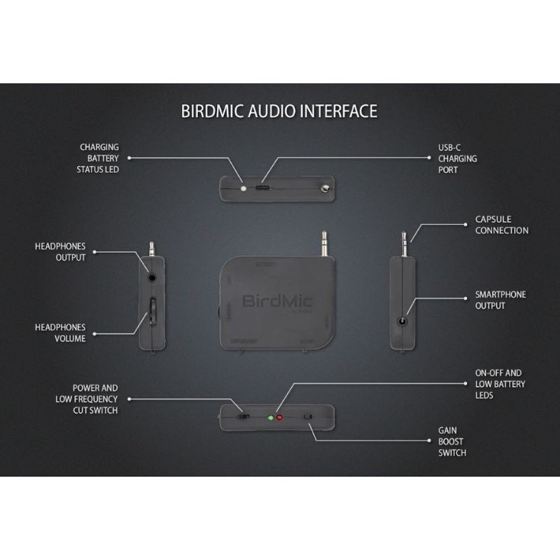 Pack BIRDMIC – Microphone parabolique avec interface audio