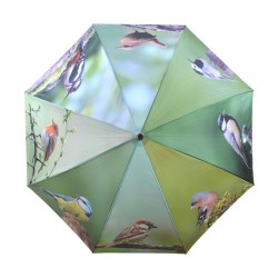 Parapluie Oiseaux du jardin