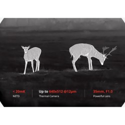 Hikmicro - HABROK HH35LN - Jumelles thermiques de vision jour/nuit