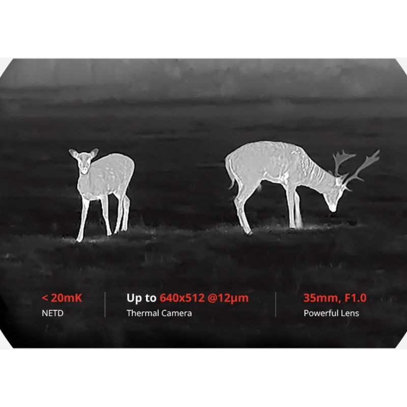 Hikmicro - HABROK HH35LN - Jumelles thermiques de vision jour/nuit