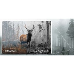 Hikmicro - HABROK HH35LN - Jumelles thermiques de vision jour/nuit