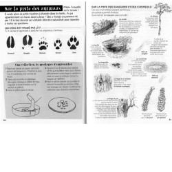 Milieux forestiers - Les cahiers du jeune naturaliste Milieux forestiers - Les cahiers du jeune naturaliste