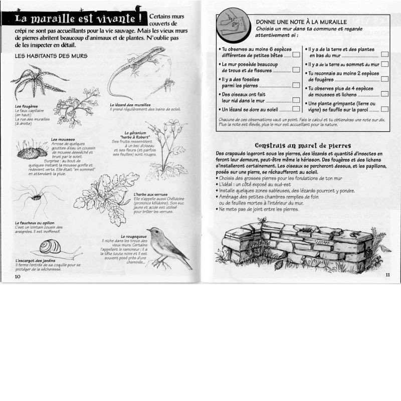 Villes et villages - Les cahiers du jeune naturaliste Villes et villages - Les cahiers du jeune naturaliste