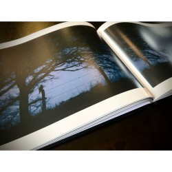 "Owly Night" - Livre photo