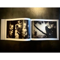 "Owly Night" - Livre photo