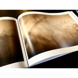 "Owly Night" - Livre photo